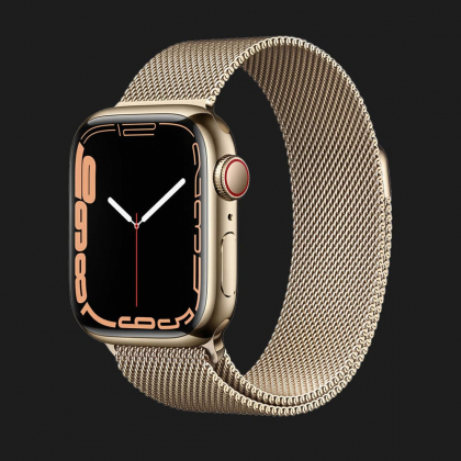Apple Watch Series 7 41mm Gold Stainless Steel Case with Gold Milanese Loop (MKHH3) в Киеве