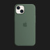 Оригінальний чохол Apple Silicone Case with MagSafe для iPhone 13 mini (Eucalyptus)