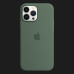 Оригінальний чохол Apple Silicone Case with MagSafe для iPhone 13 Pro (Eucalyptus)