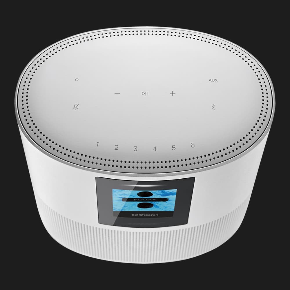Акустика Bose Home Speaker 500 (Silver)