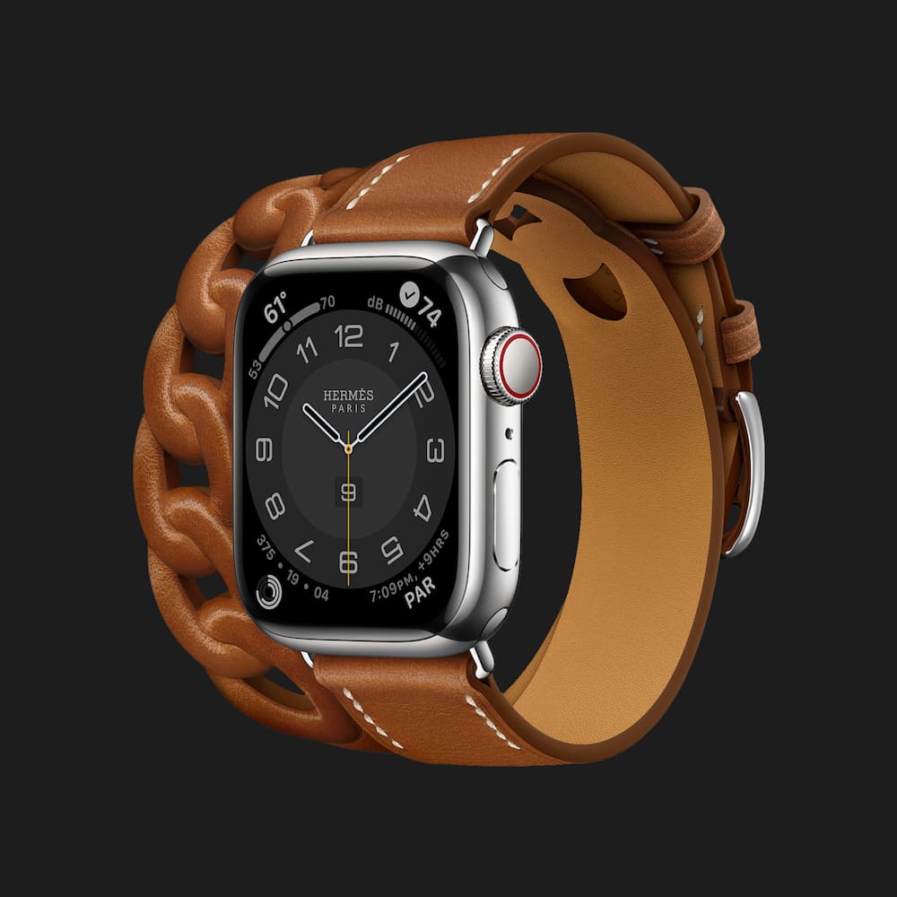Купить Apple Watch Series 7 41mm Hermès Silver Stainless Steel Case with  Gourmette Double Tour (Fauve) — цены ⚡, отзывы ⚡, характеристики — ЯБКО